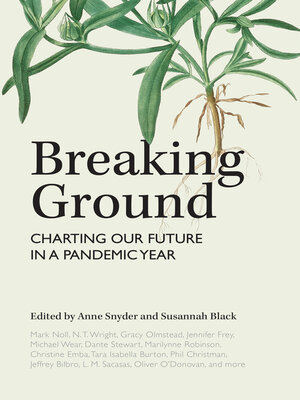 cover image of Breaking Ground